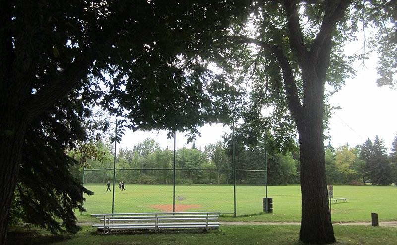 sports field