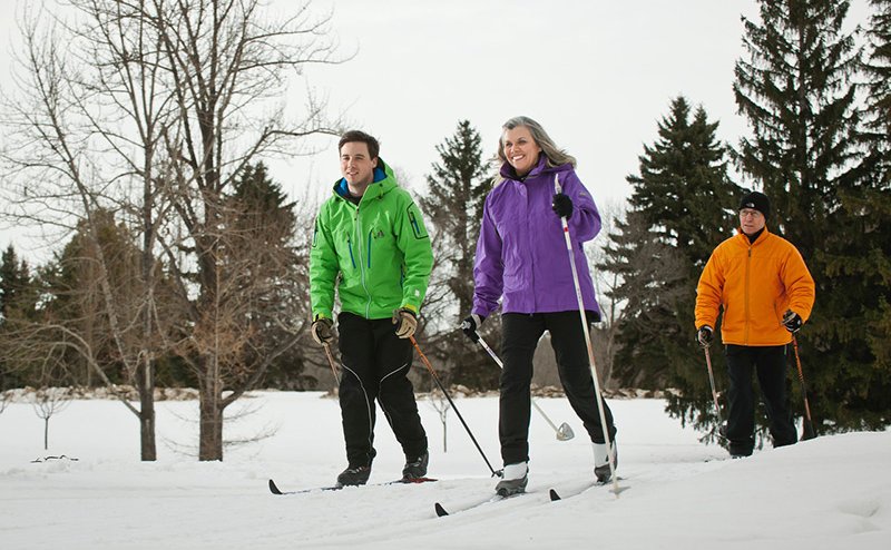 persons cross-country skiing