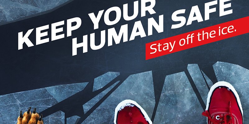 Keep your human safe