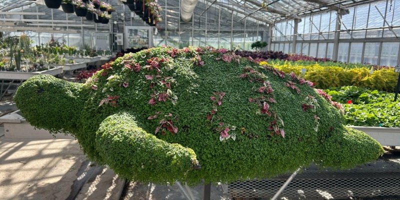 green floral turtle