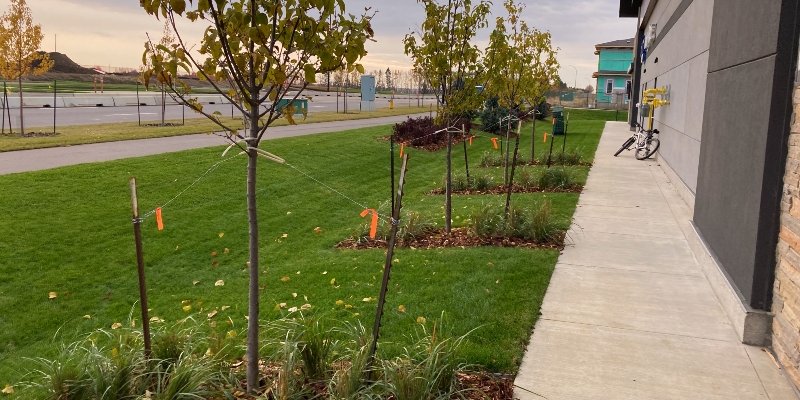 Landscaping around multi-unit building