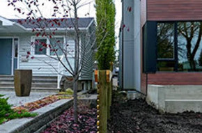 Infill Construction: Working with Neighbours