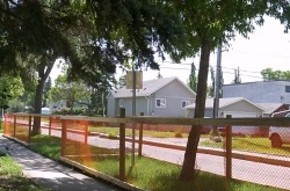 Infill Construction: Tree Protection