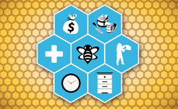 Myth #4: Beekeeping is easy