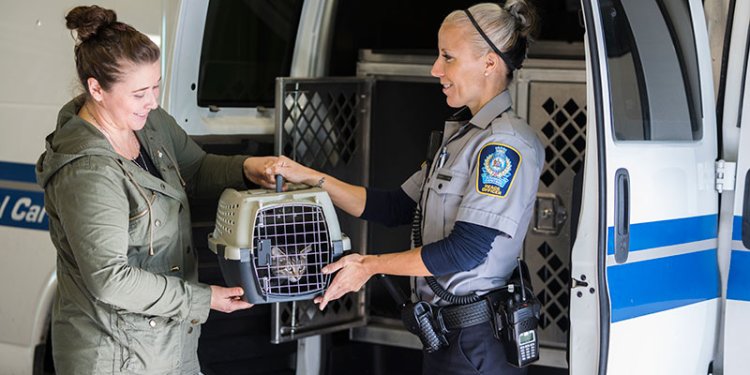 animal care and control officer handing cat in carrier to customer