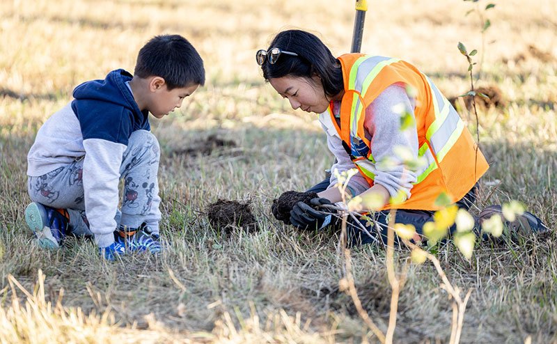 an adult and a child in park planting a tree sapling